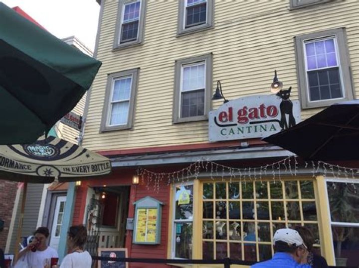 Discovering El Gato Cantina: A Culinary Journey Through Flavors
