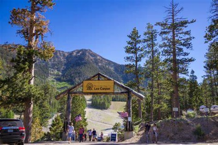 Discovering Lee Canyon Resort: Your Ultimate Mountain Getaway