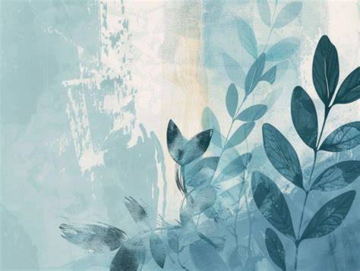 Discovering Maple Star: A Journey Through Nature's Beauty