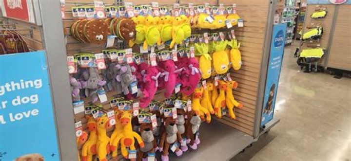 Discovering PetSmart Bloomington, IL: Your Ultimate Pet Care Destination