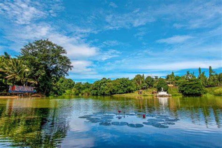 Discovering the Charm of Alexander's Naples FL