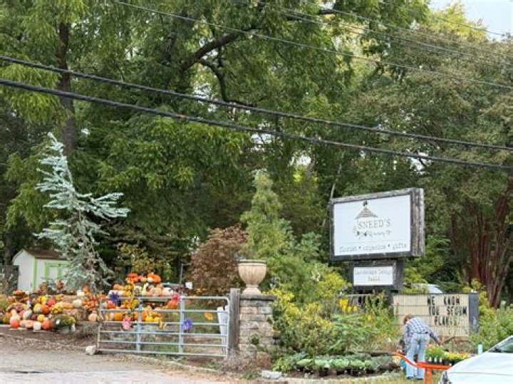 Discovering the Charm of Sneed's Nursery in Richmond, VA