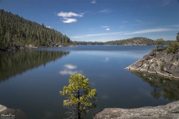Discovering the Charm of the City of Pinecrest