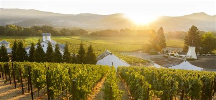 Discovering the Charm of Veritas Vineyard and Winery