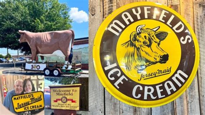 Discovering the Delight of Mayfield Dairy Tours