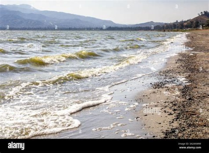 Discovering the Essence of Elsinore Water: Nature’s Hidden Gem