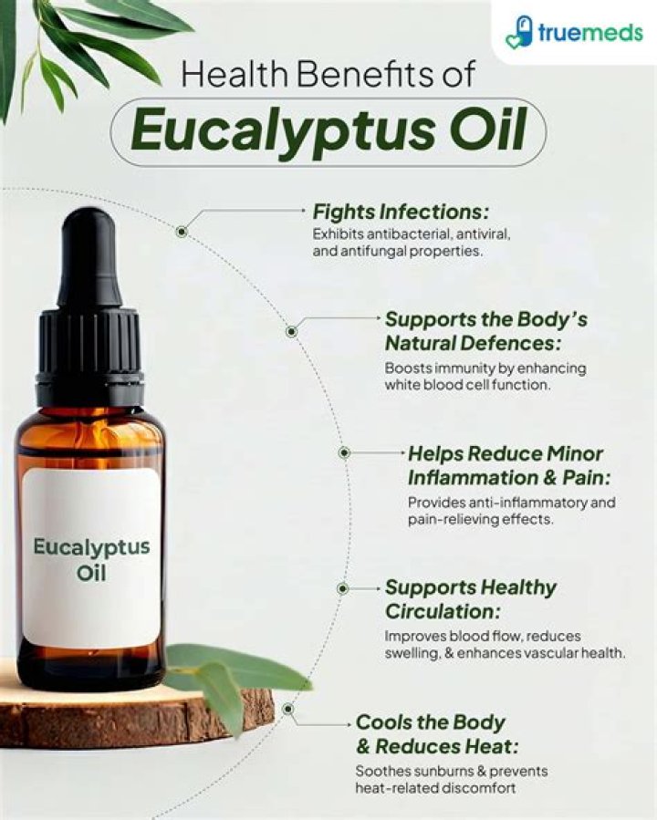 Discovering the Health Benefits of Eucalyptus Honey from Abkhazia