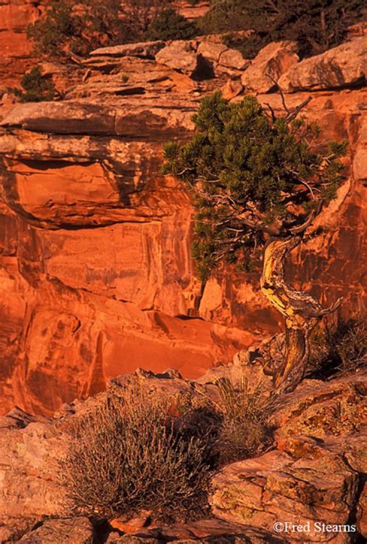 Discovering the Hidden Gem of Juniper Valley, Colorado
