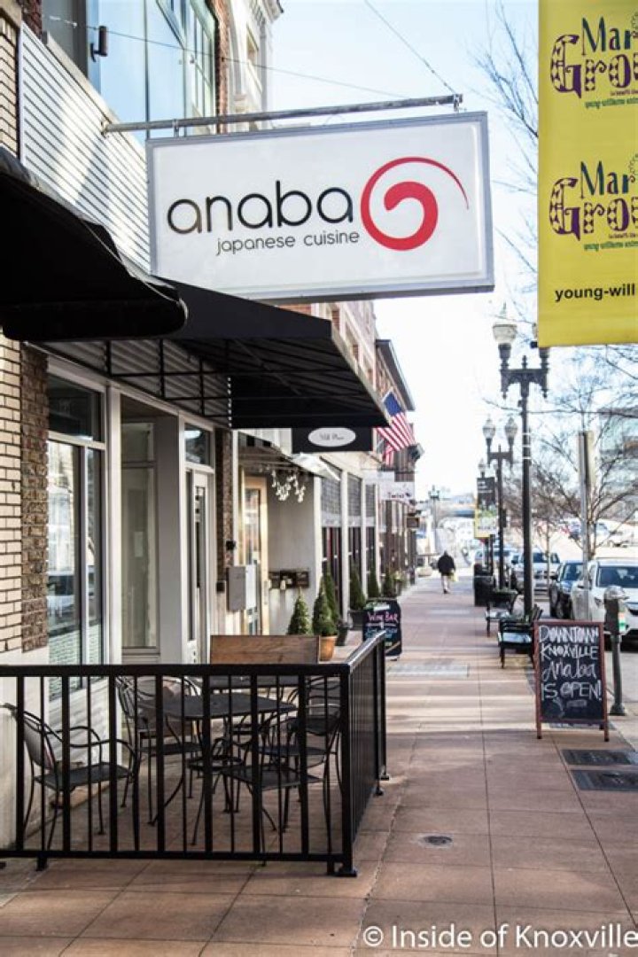 Discovering the Life and Legacy of Anaba Knoxville