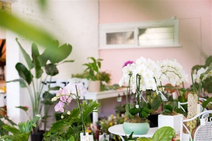 Discovering the Magical Allure of Sunset Terrace
