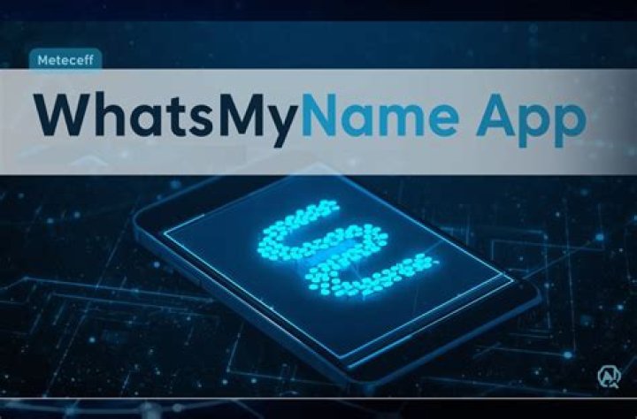 Discovering the Unique Features of whatsmyname.app