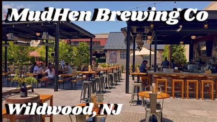 Discovering the Wonders of Mudhen Wildwood