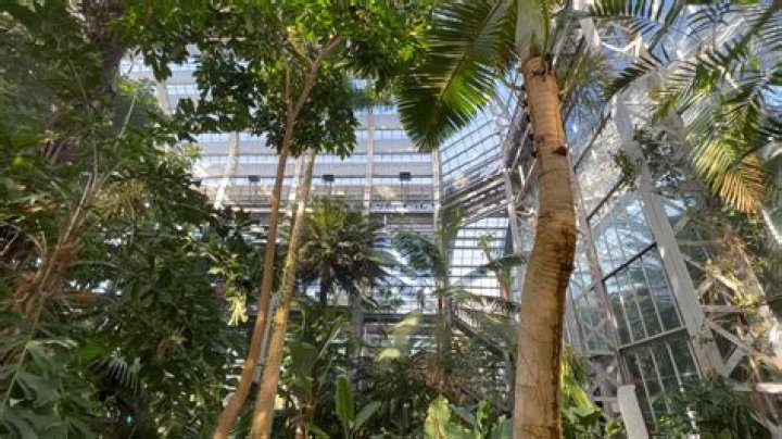Discovering the Wonders of the U.S. Botanic Garden: A Comprehensive Guide