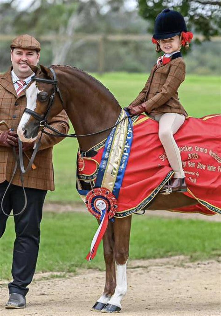 Discovering the World of Show Horse Council