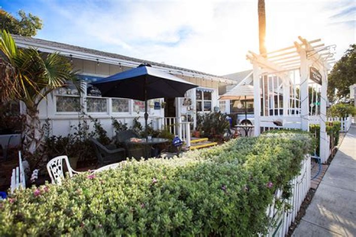 Discovering Tranquility at Serenity Garden Tea House West Palm Beach