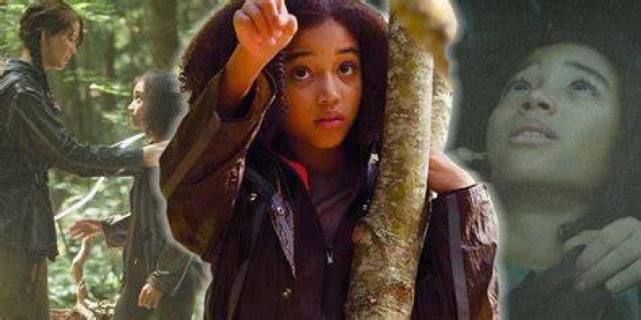 District 11 in The Hunger Games: A Comprehensive Overview