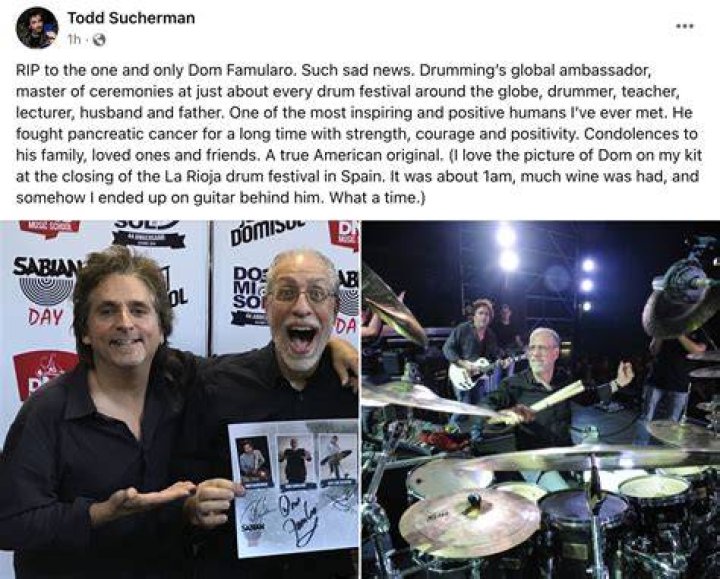 Dom Famularo Net Worth: A Comprehensive Insight into the Legendary Drummer's Wealth