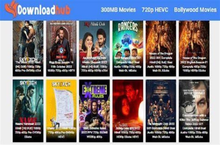 DownloadHub: Your Ultimate Source for 300MB Movies