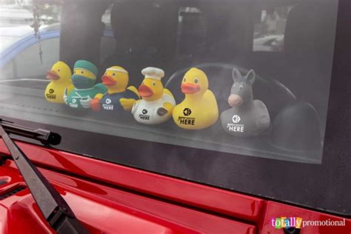 Duck Smoking GIF: A Fun and Creative Way to Share Your Love for Ducks