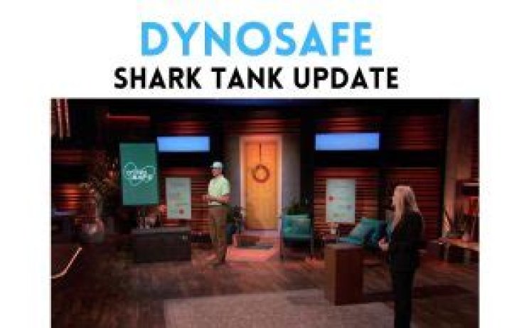 Dynosafe Net Worth: A Deep Dive into Their Financial Standing