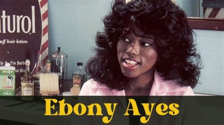 Ebony Ayes Wiki: The Life and Career of a Notable Adult Film Star