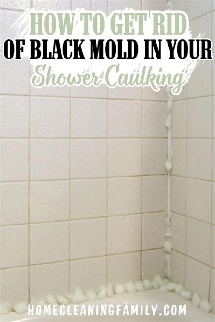 Effective Strategies for Eliminating Black Mold in Your Shower