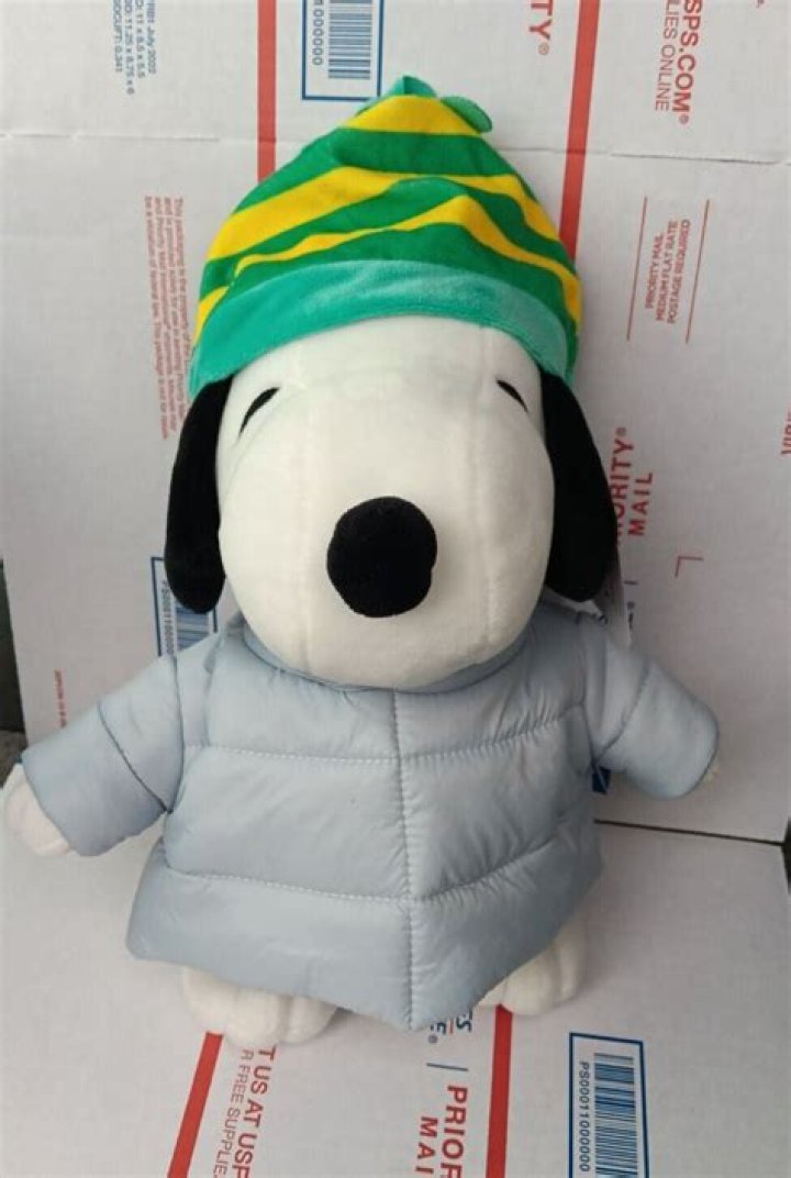 Embrace the Chill with the CVS Snoopy Puffer Jacket