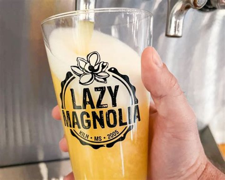 Embracing the Charm of Lazy Magnolia