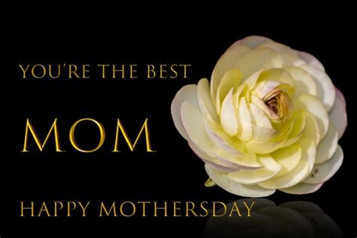 Embracing the Comfort: The Significance of Mother's Warmth