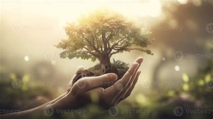 Embracing the Staggering Beauty of Nature and Humanity