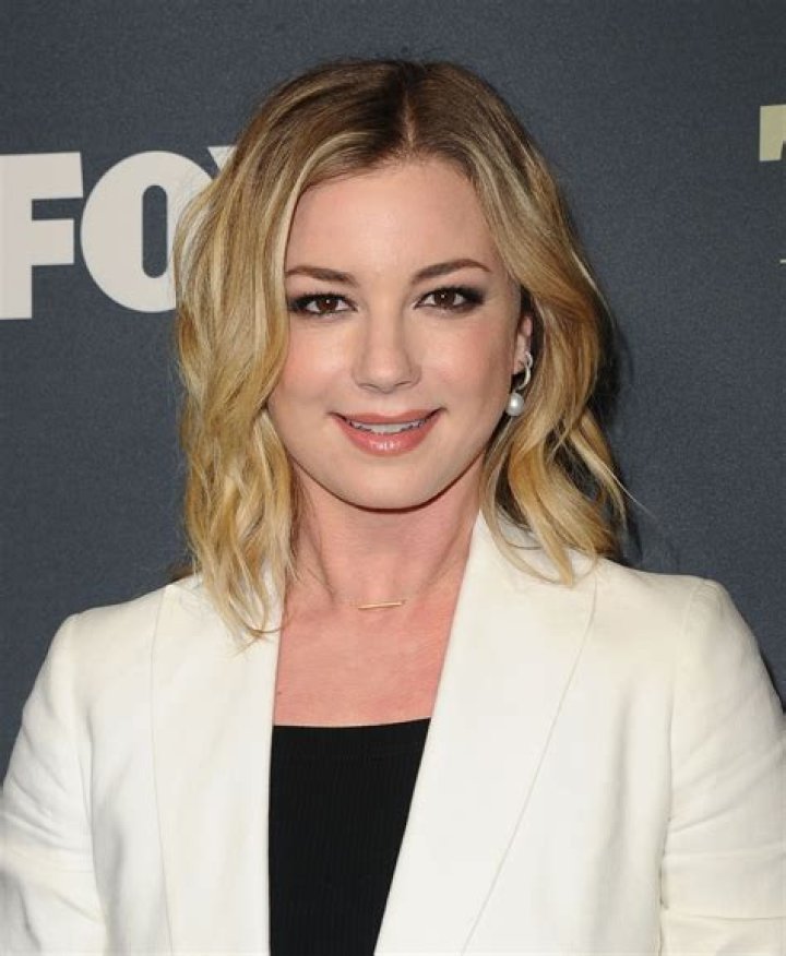Emily VanCamp's Remarkable TV Series Journey: A Closer Look