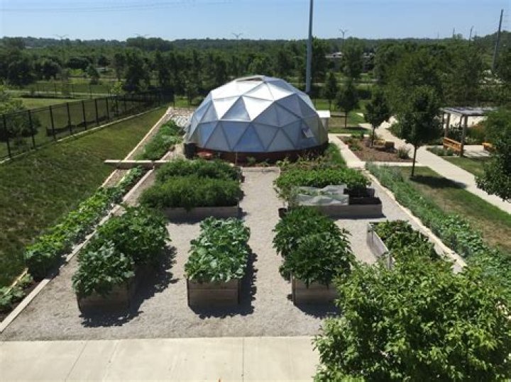 Empowering Lives: A Journey through Central Iowa Shelter and Services