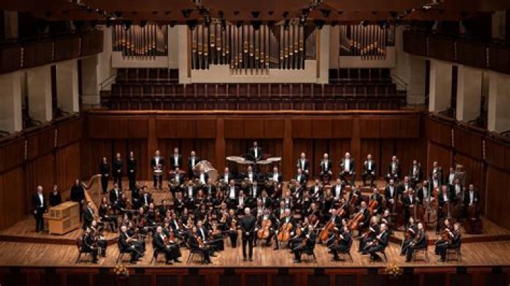 Essential Guide to Stand Partners in Orchestral Performance