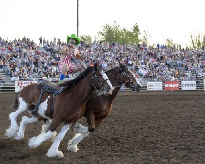 Eugene Pro Rodeo: A Thrilling Celebration of Western Heritage