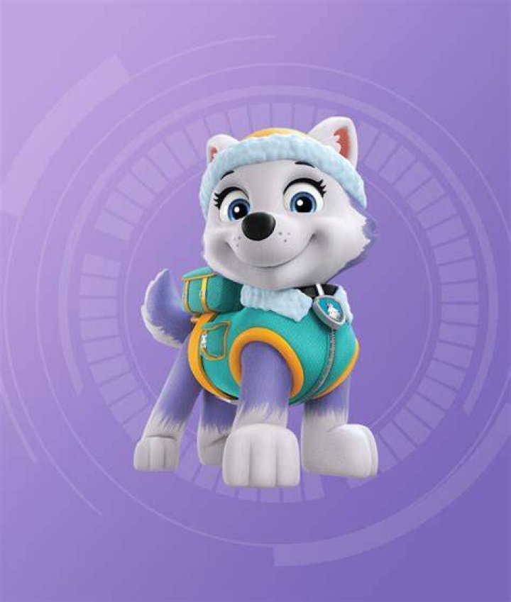 Everest Paw Patrol: The Ultimate Guide to the Snowboarding Pup