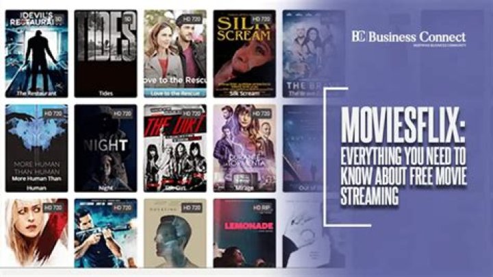 Everything You Need to Know About MoviesFlix: A Comprehensive Guide