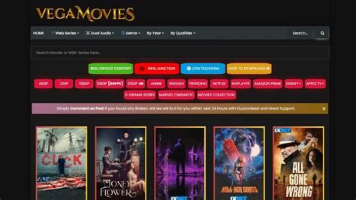 Everything You Need to Know About Vegamovie.in