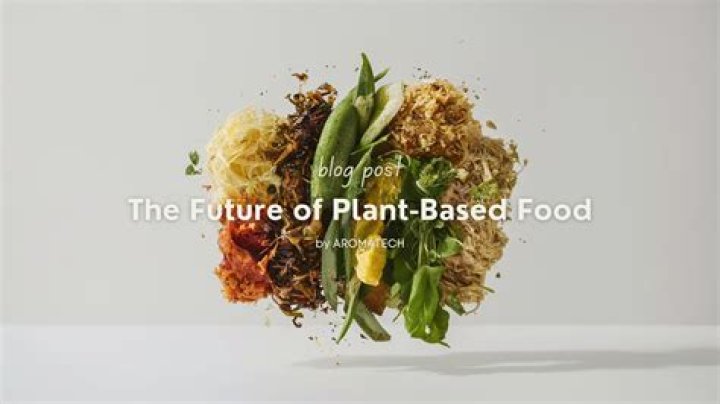 Everything You Need to Know About Vegamovis: The Future of Plant-Based Food