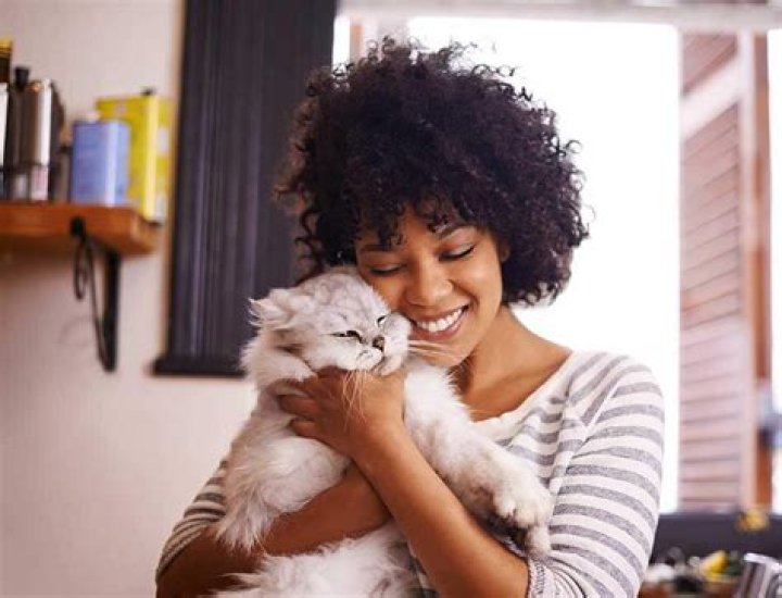 Exceptional Care for Your Furry Friends at Delaware Valley Veterinary Hospital
