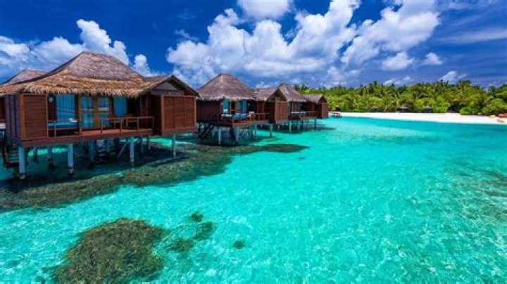 Experience Paradise: The Allure of Overwater Bungalow Resorts