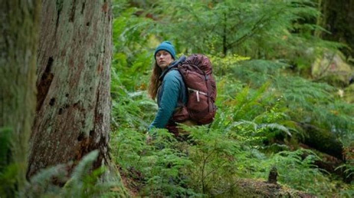 Exploring Maika Monroe Movies: A Journey Through Her Career
