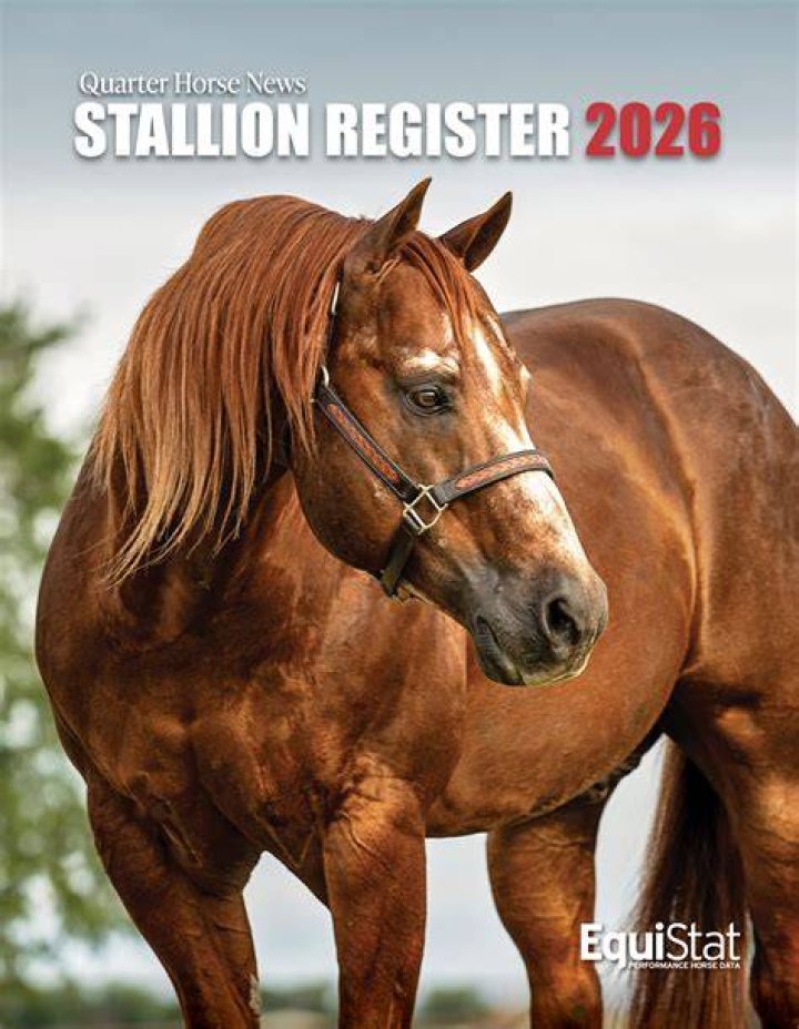 Exploring Stallions at Harrisburg: A Comprehensive Guide