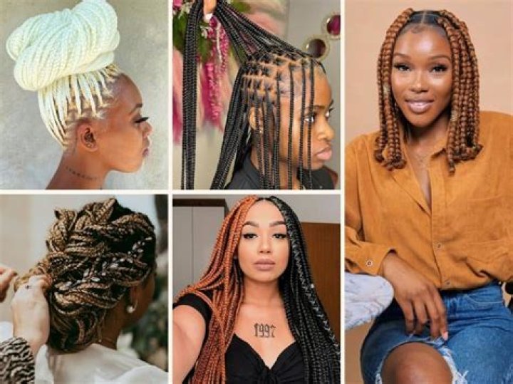 Exploring the Beauty of Black Women's Braids Hairstyles: A Comprehensive Guide