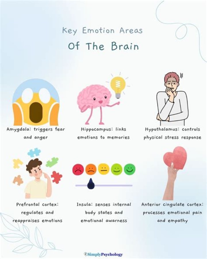 Exploring the Concept of "Brain in a Jar": Understanding its Significance and Implications