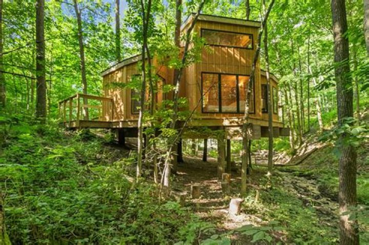 Exploring the Conservative Treehouse: A Comprehensive Guide