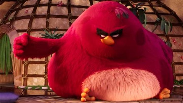 Exploring the Dynamic World of the Big Red Angry Bird