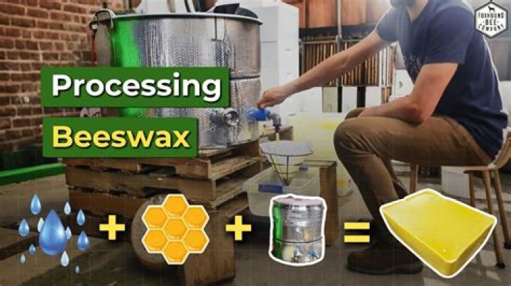 Exploring the Edibility of Beeswax: A Comprehensive Guide