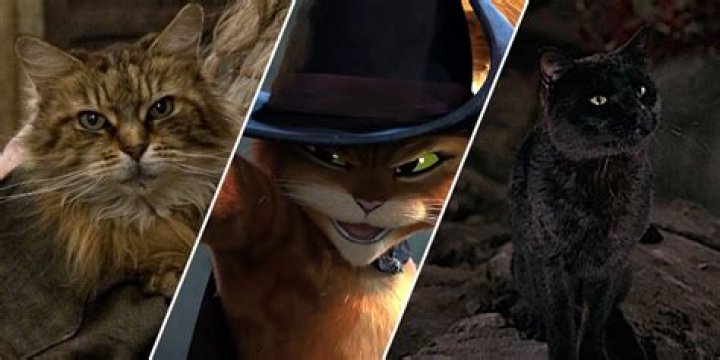Exploring the Enchantment of Black Cats in Movies: A Complete Guide
