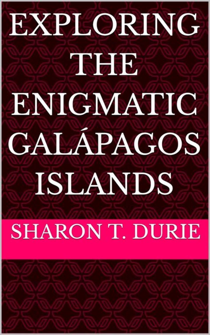 Exploring the Enigmatic Griegers in Valparaiso