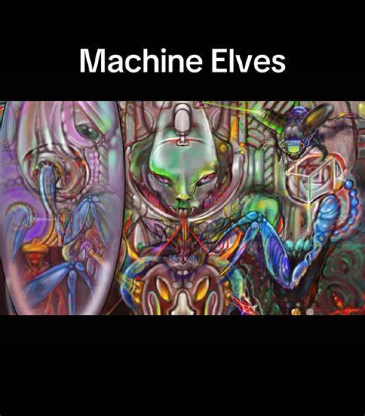 Exploring the Enigmatic World of Machine Elves